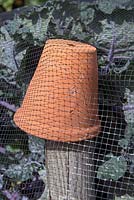 Upturned vintage terracotta pot on top of post used to support netting over vegetable bed.