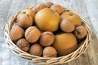 Juglans regia - Walnuts with Malus domestica - Egremont Russet in wicker basket.