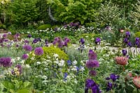 Iris, Alliums, Buxus sempervirens and Protea planting - The Time In Between by Husqvarna and Gardena at RHS Chelsea Flower Show 2015 - Sponsor: Husqvarna and Gardena