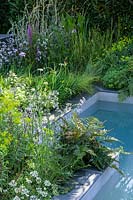 Mixed planting by a pool in APL - A Place To Meet Garden - Hampton Court Palace Garden Festival 2019.