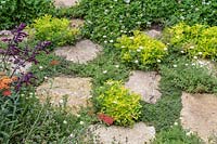 Closeup of planting between paving stones - The BBC Spring Watch Garden - RHS Hampton Court Festival.