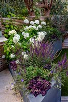 London contemporary garden - grey raised border on patio. Planting includes Heuchera berry smoothie, Salvia caradonna, Hydrangea anabelle, Geranium johnsons blue.