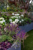 London contemporary garden - grey raised border next to artificial lawn area. Planting includes Heuchera berry smoothie, Salvia caradonna, Hydrangea anabelle, Geranium johnsons blue.