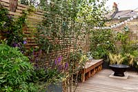London contemporary garden - grey raised border on patio. Planting includes Heuchera berry smoothie, Salvia caradonna, Geranium johnsons blue. In background a lower wood deck area with Betula utilis and wooden seat. In the centre of the deck is a fire pit in front of a small raised border with Stipa tenuissima.