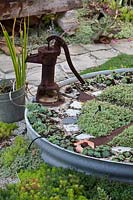 Detail of a corrugated iron water tank sunk into the ground designed as a mandala garden divided with rusty saws,  featuring a old rusty pump, planted with a variety of succulents and mulched with seashells.