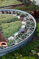 Detail of a corrugated iron water tank sunk into the ground designed as a mandala garden divided with rusty saws, planted with a variety of succulents and mulched with seashells.