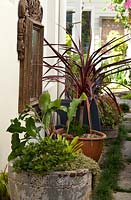 A side passage lined with mismatched pots planted with succulents and a Cordyline with red strappy foliage featuring a wall mounted carved timber framed mirror.
