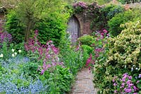 View of spring border and brick pathway leading to gothic wooden door. Plants incude Lunaria annua - honesty, Myosotis - forget-me-not, Daphne laureola - spurge laurel and Tulipa 'Spring Green'.