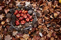 Dried mini pumpkins placed inside a wreath with pine cones on bed a dry leaves