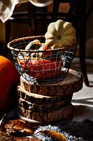 Wire basket with pumpkins