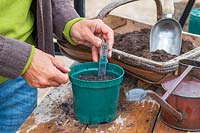 Woman adding label to newly sown seeds in pot
