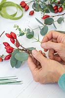 Woman assembling bundles of rosehips and Eucalyptus foliage ready for making a wreath.