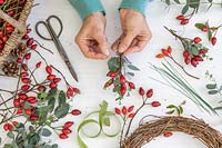 Woman wiring bundles of rosehips and Eucalyptus foliage ready for making a wreath.