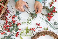 Cutting a sprig of Eucalyptus ready for making a wreath