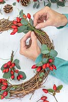 Fixing bundles of rosehips and Eucalyptus foliage to wicker wreath