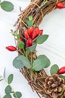 Detail of Wicker wreath with rosehips, pine cones and Eucalyptus foliage.