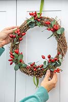 Woman hanging up a wicker wreath with rosehips, pine cones and Eucalyptus foliage.