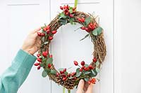 Hanging up a wicker wreath with rosehips, pine cones and Eucalyptus foliage