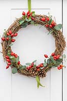 A wicker wreath with rosehips, pine cones and Eucalyptus foliage, hung up