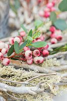 Detail of arrangement with wooden wreath decorated with pink Sorbus - Rowan -berries amd Eucalyptus foliage