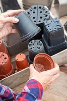 Sorting used plastic pots by colour for recycling - black pots can not be sent for recycling