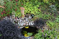 Fuchsia, Geranium, Liriope and Ophiopogon surrounding a small sunken pond edged with cobbles