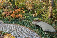 Cobbled path and border with Hydrangea macrophylla, Hedera helix and Cotinus coggygria