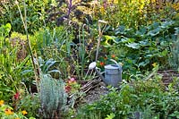 Mixed vegetable beds and tools in late summer.