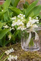Convallaria majalis - Lily of the Valley lace tied posy displayed in glass jar