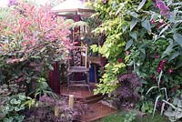 Pergola in small urban garden full of exotics. Planting includes Photinia x fraseri 'Red Robin',  Acer palmatum, Leycesteria Formosa, Brunnera 'Jack Frost' Clematis and Buddleja
