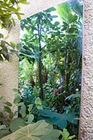 Mirror on wall reflecting green exotic garden foliage