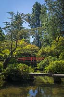 Bridge framed by stone bridge over water with Rhododendron and Acer palmatum in Japanese-style garden