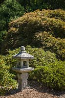 Japanese-style garden with Kasuga stone Japanese lantern framed by Rhododendron foliage and Acer palmatum 'Dissectum' - Cutleaf Japanese Maple