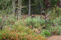 Handcrafted metal flower sculptures amongst ground cover plants. Planting includes: Zauchneria latifolia and Cercocarpus ledifolius 