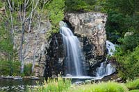 Waterfall framed by Populus - Poplar