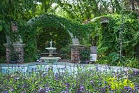 View over Salvia microphylla x greggii 'Heatwave Breeze' to pond with fountain. Beyond brickwork and arches covered in Parthenocissus tricuspidata - Boston Ivy