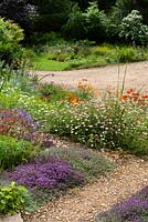 Dry garden with view to drive - Thymus and Erigeron