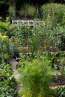 View over vegetable patch with fennel, peas and swiss chard and asparagus at the end of the garden