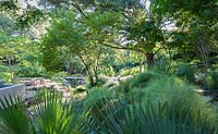 View over palm leaves towards woodland garden