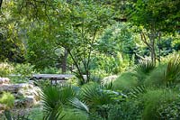 View over palm leaves to woodland garden with rocks and elevated walkway