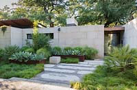 Front garden with limestone path to contemporary house, steel raised beds of Agave and other architectural plants near house wall
