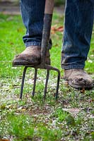 Aerating a waterlogged lawn by making holes with a fork