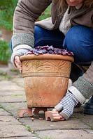 Lifting pots using terracotta feet to prevent them being broken by frost