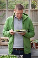 Holding a tray of microgreens