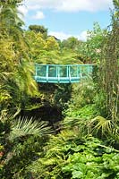 Tropical Garden in Hamilton, New Zealand 