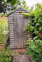 Garden shed in urban allotment