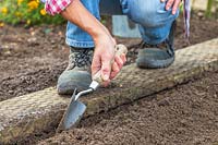 Woman using hand trowel to create a mounted row ready for planting