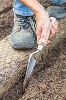 Woman using hand trowel to create a mounted row ready for planting