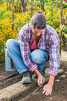 Woman using hand trowel to plant the Shallot onion sets