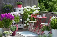 Seating area on the terrace with containers of Phlox, Hydrangea, French lavender and Gentian 
